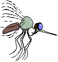 No-seeum
